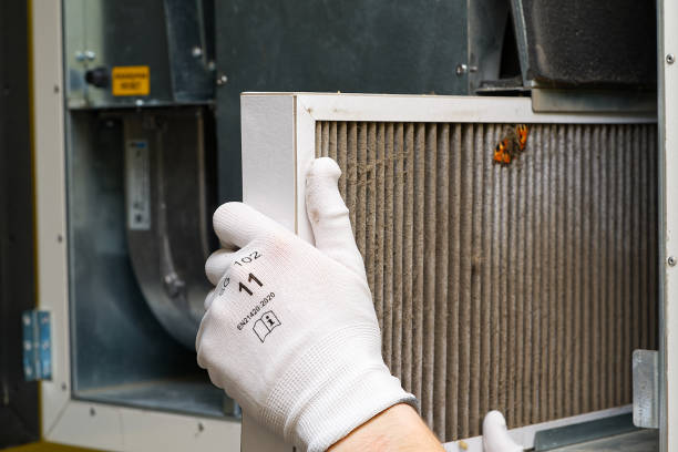 Best Air Vent Cleaning Services  in Lincoln, IL